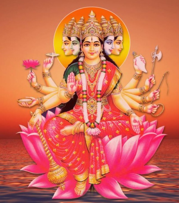 A grand Vedic Homa ceremony - bhaktipeeth